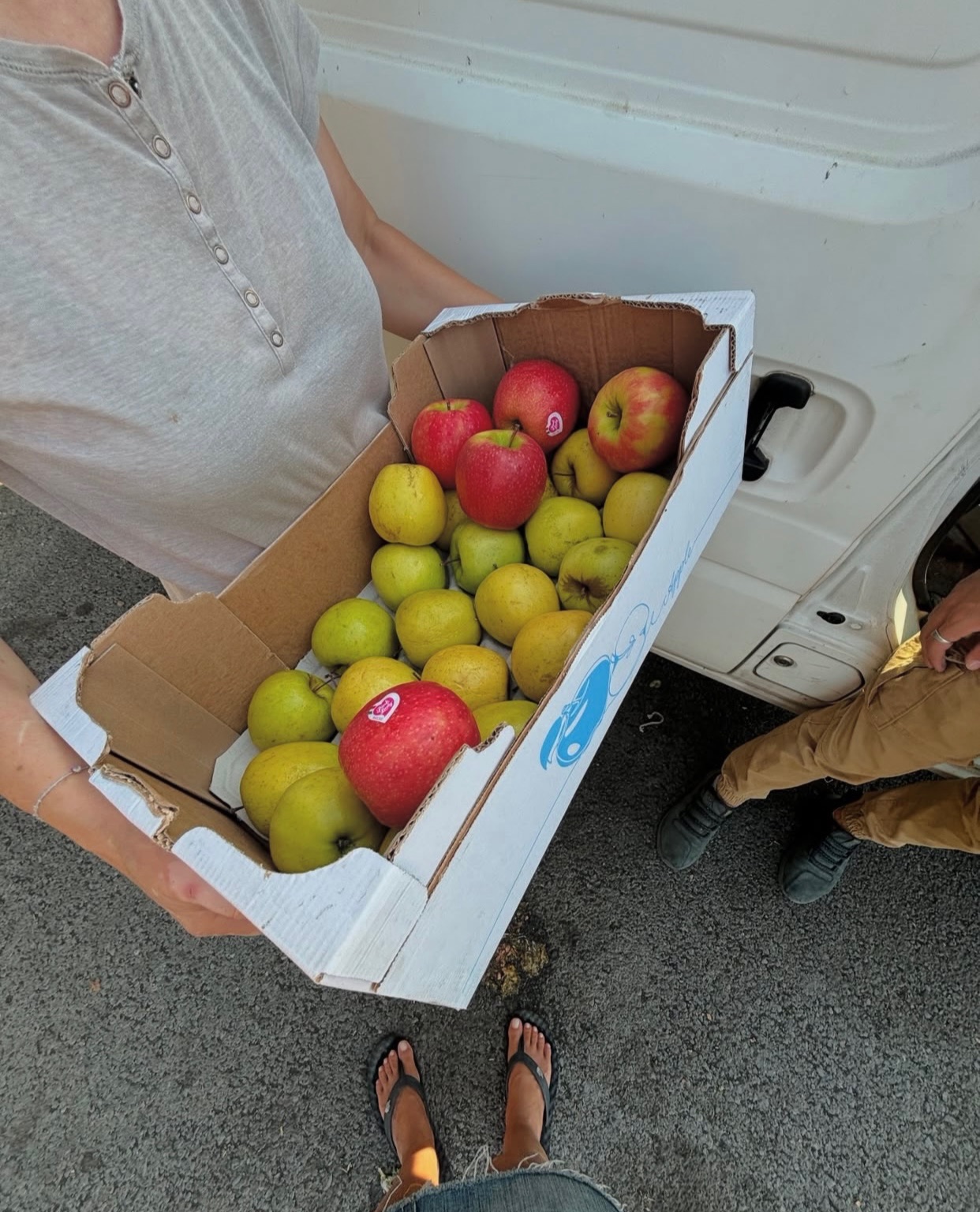 social food project