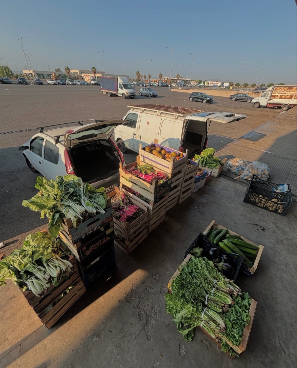social food project
