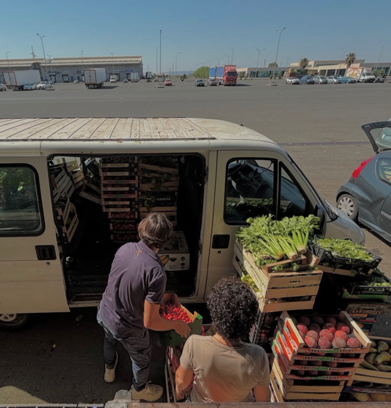 social food project